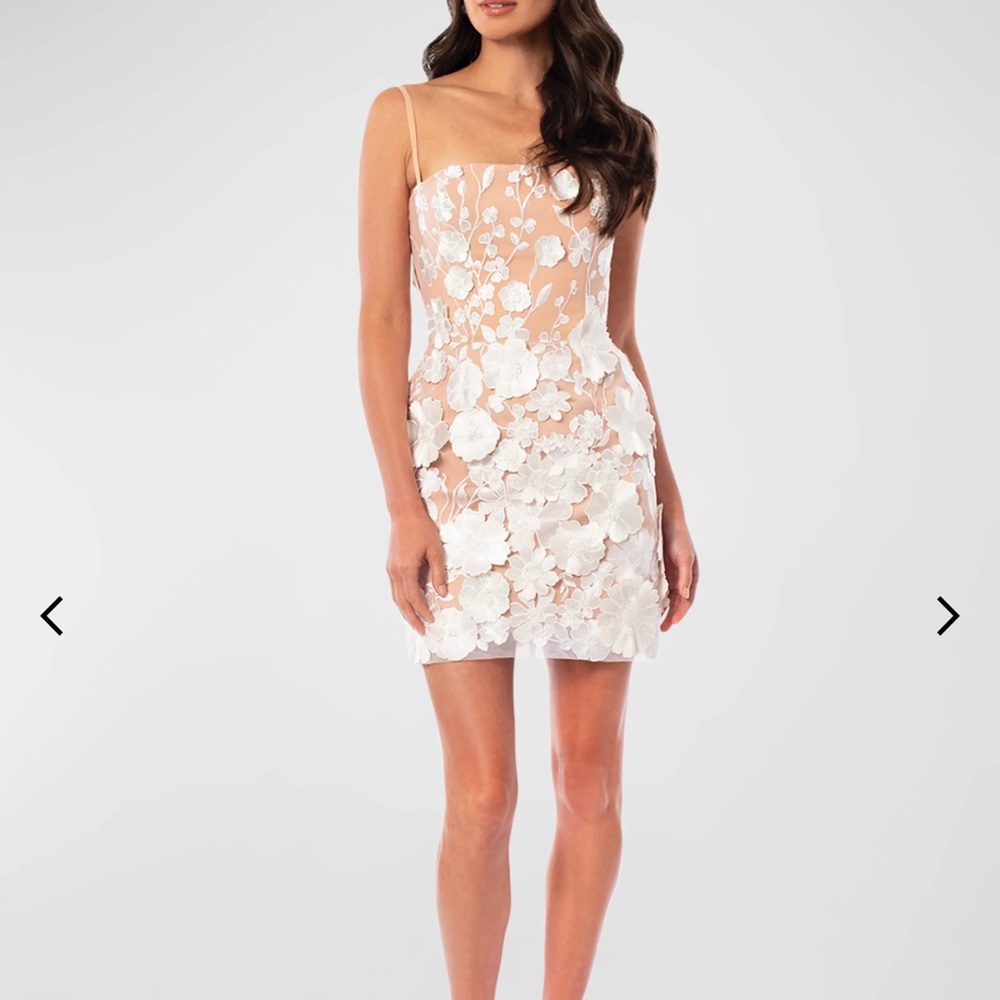 Helsi Hilma structured sleeveless lace dress with 3D flowers